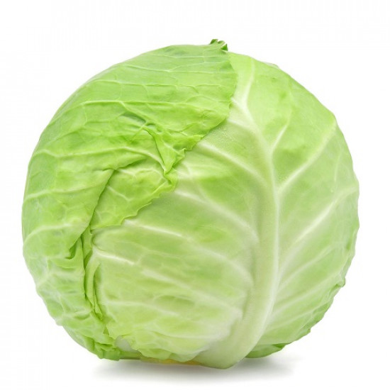 Cabbage (క్యాబేజ్)