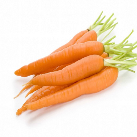 Carrot (క్యారెట్) 