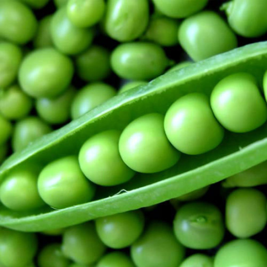 Green Peas(బఠాణి ) - Graded and Packed 1Kg