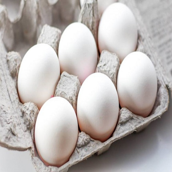 Eggs (6)